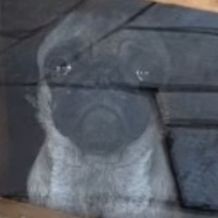 scrwober