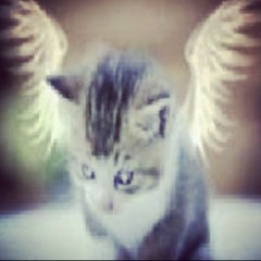 grerrrh
