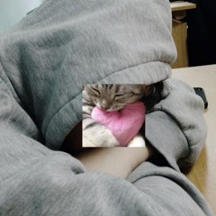кантос .-.