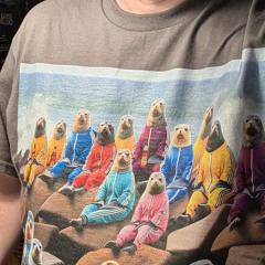 Seals