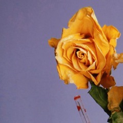 два миллиграмма