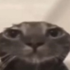 👨