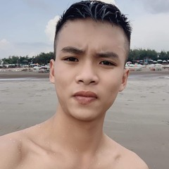 Minh Vũ