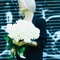 wwhiteroses
