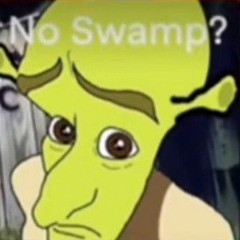 no_swamp