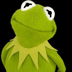 DJ Kermit
