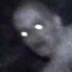 Raxaukko