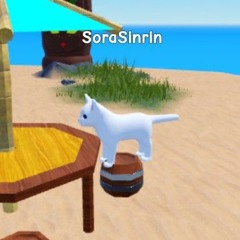 SoraSinrin