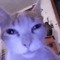 just Test888