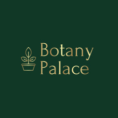 The Sound Palace