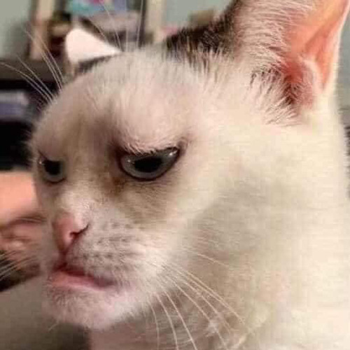 135 - BÊN TRÊN TẦNG LẦU X PHONICS SONG - Tuki