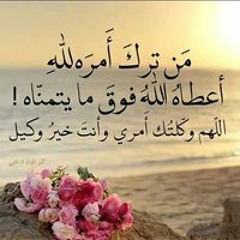 Shrouk Ali