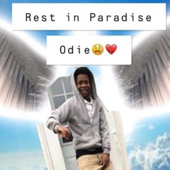 oddie gang moe🚨😔
