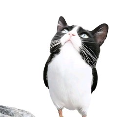 Gio