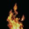 DiGiTAL_FiRE*