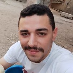 هشام مصطفي