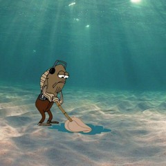 sxm.ho_