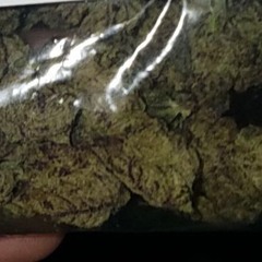 lit WRLD
