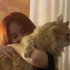 я сплю