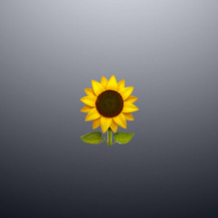 $unfløwer Core