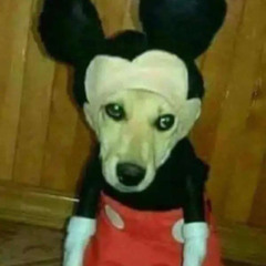Mo0o0onn
