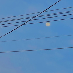 옥뚜두