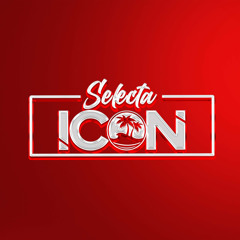 Selectaicon™️