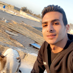 Mustafanasr