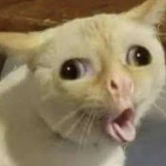 ๐·°(৹˃ᗝ˂৹)°·๐