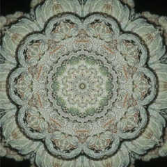 bud in a kaleidoscope
