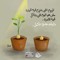 ALaa Elsayed
