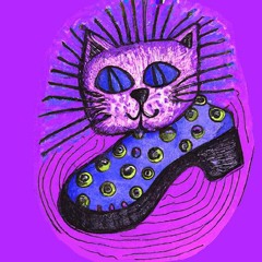 shoecat