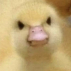 Entensturm🦆