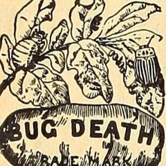 bug death