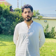 hamza zia