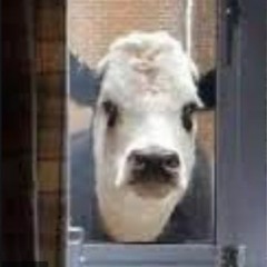 zthelastcow