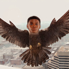 Peregrine