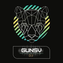Gunsv DJ (BR)