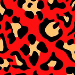 picomore