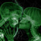 aa