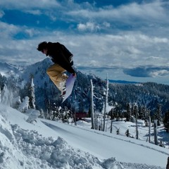 SHRED TILL DEAD