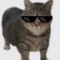 djkiddlerdiddler