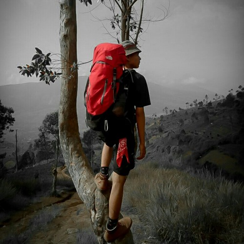 @triansyah_h’s avatar