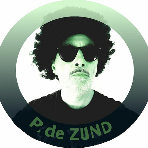 Patrick de ZUND’s avatar