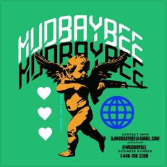 DJMUDBAYBEE