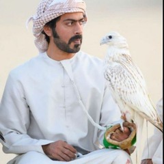 بشاير الجابري