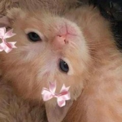 🐾🎀🦴🍥