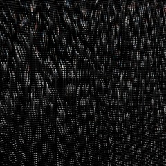 Dance, Broken Butterfly