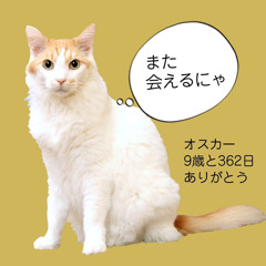 Yukiya Nakao
