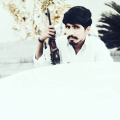 shahid